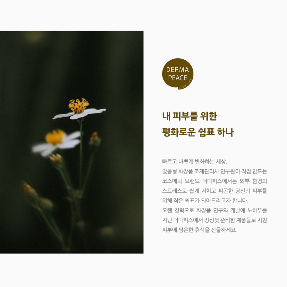 더마피스 이미지
