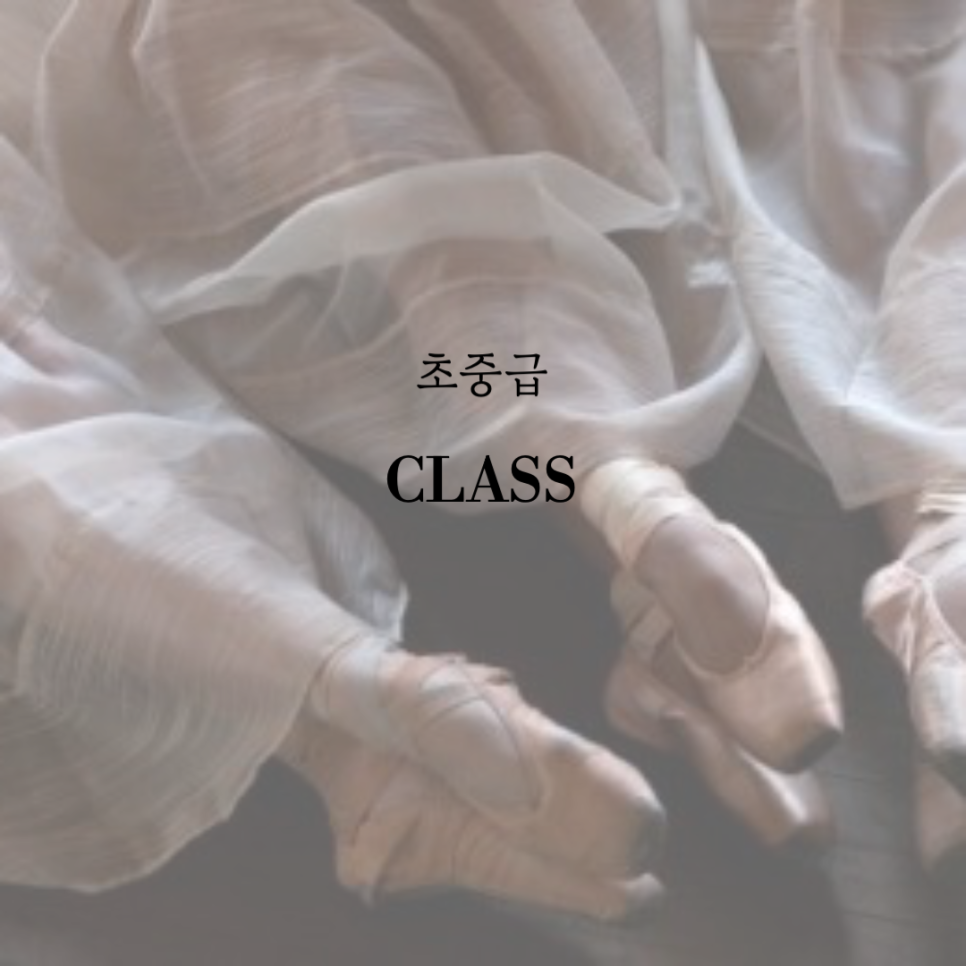 두발레스튜디오 이미지