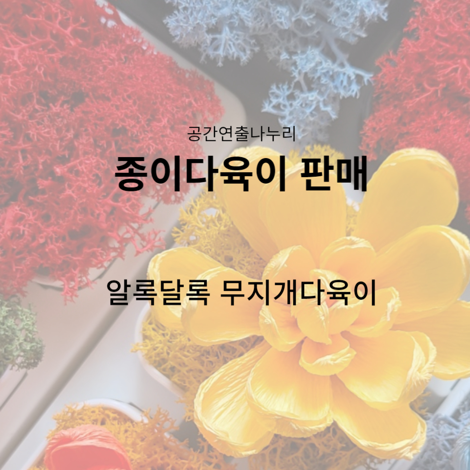 무지개다육이 이미지