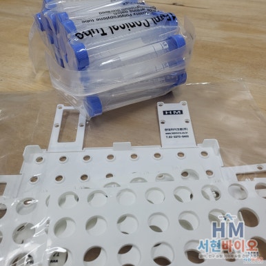 현대서현판매대리점 이미지