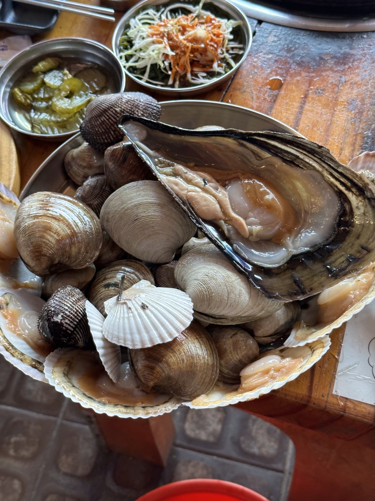 꽉찬조개 이미지