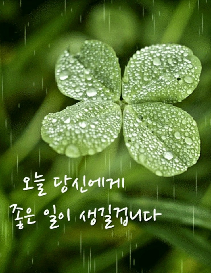 레츠런행정사사무소 이미지
