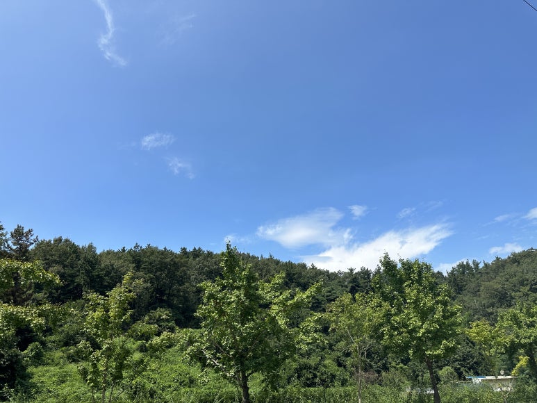 이십일인테리어 이미지