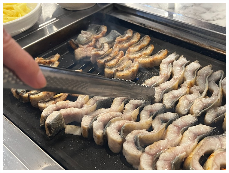 베풀장어 이미지