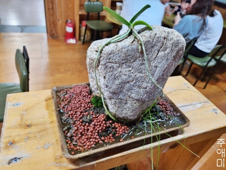 뚜레아띠 이미지