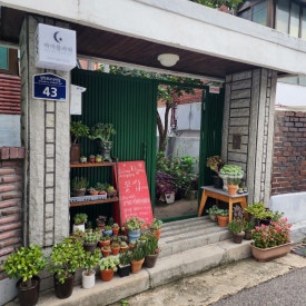 바미플라워 이미지