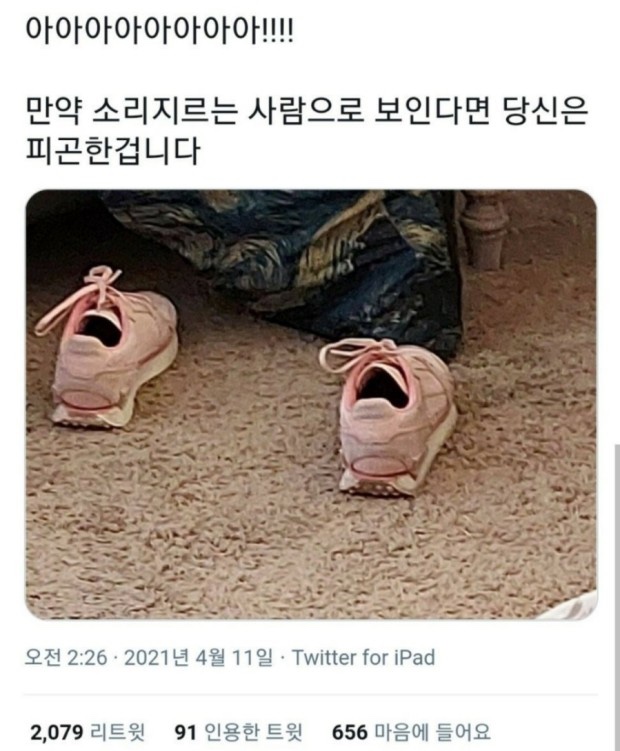 혜미네산꼼장어 이미지