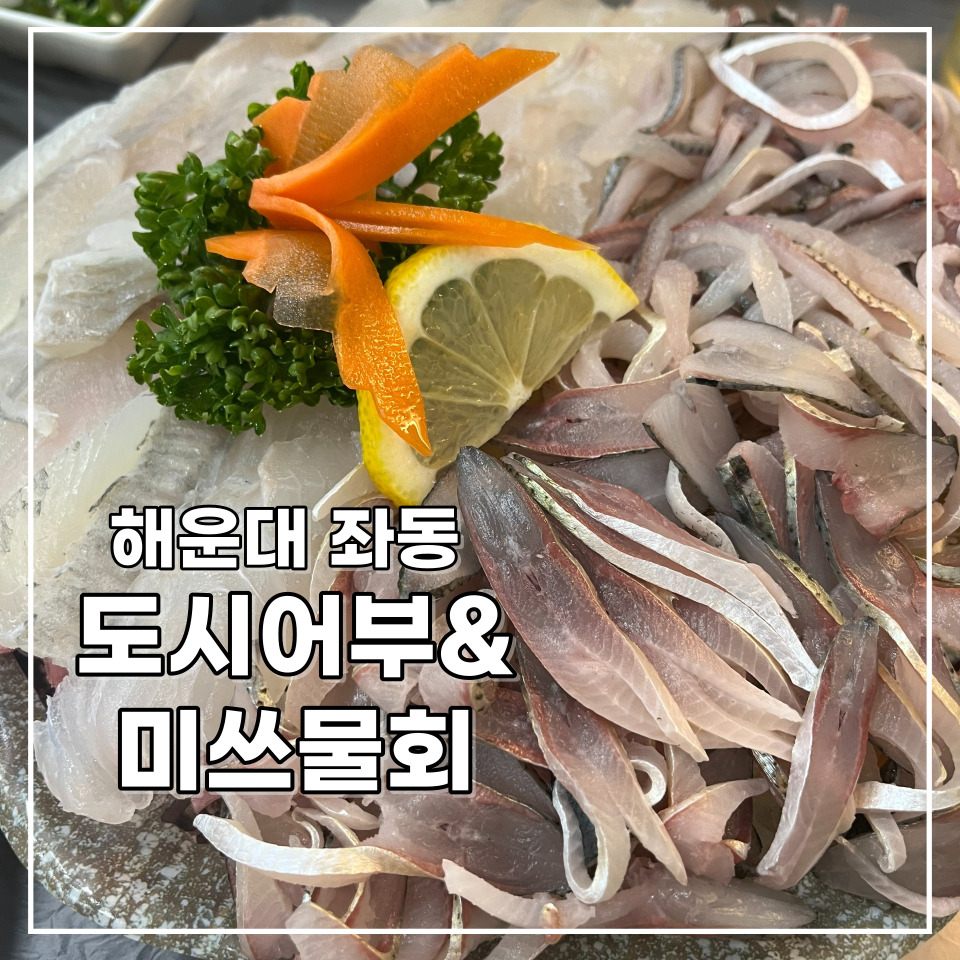 도시어부&미쓰물회 이미지