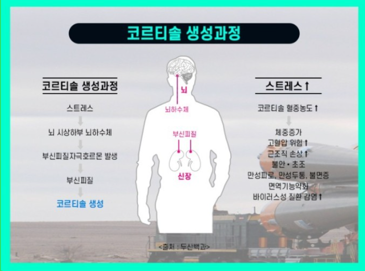 신흥클린 이미지