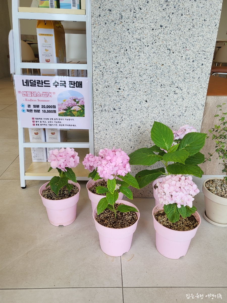 카페힐담 이미지