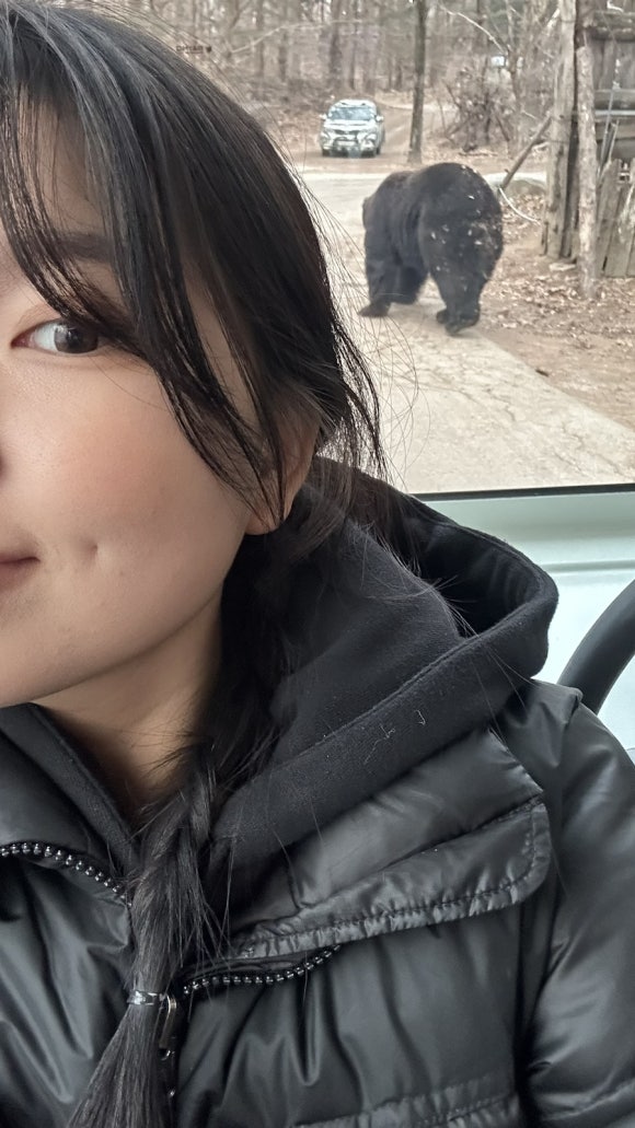 밸리츄러스 이미지