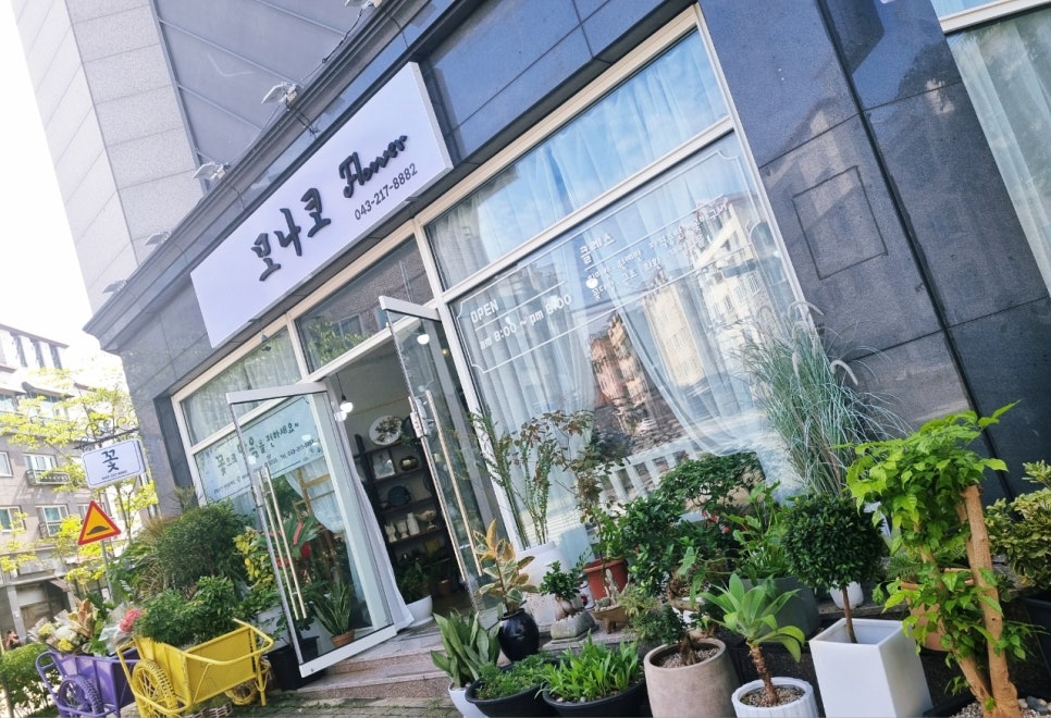 모나코플라워 이미지