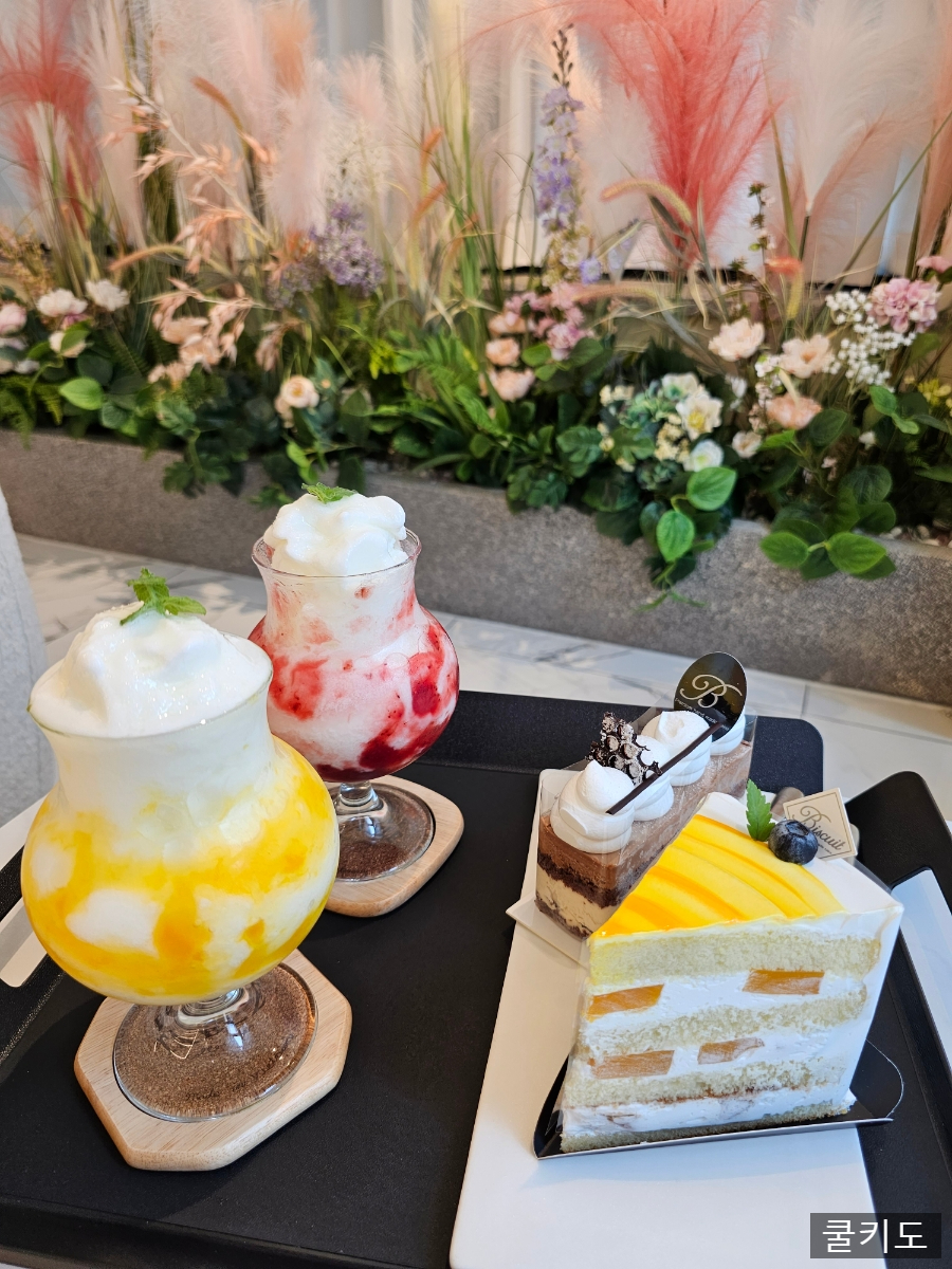 Biscuit 비스퀴 이미지