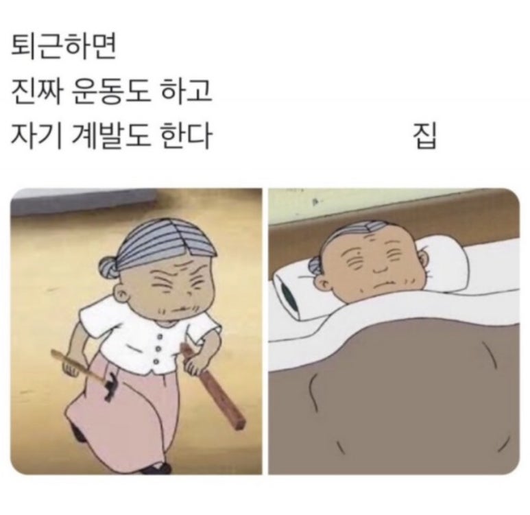 비스트주짓수김포 이미지