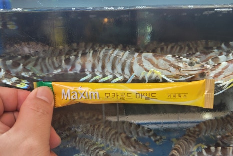 조개공장 광안점 이미지