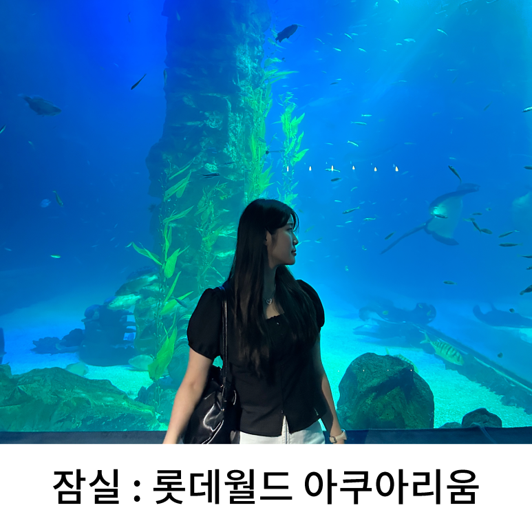 월드포밍 이미지