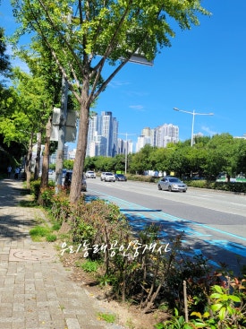 럭키동래쇼핑 이미지
