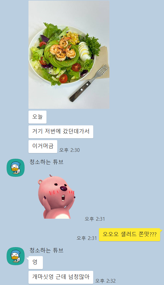 샌디랩 이미지
