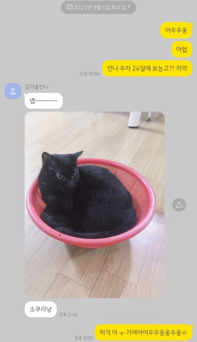 더허 이미지