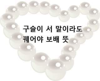 보배여행사 이미지