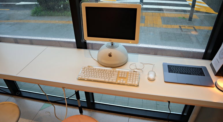 서강잡스 이미지