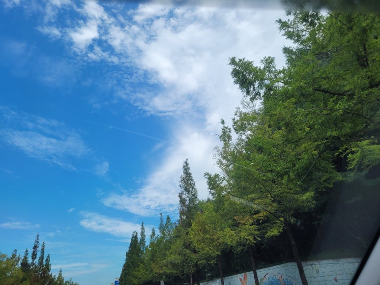 빵사랑 베이커리 이미지