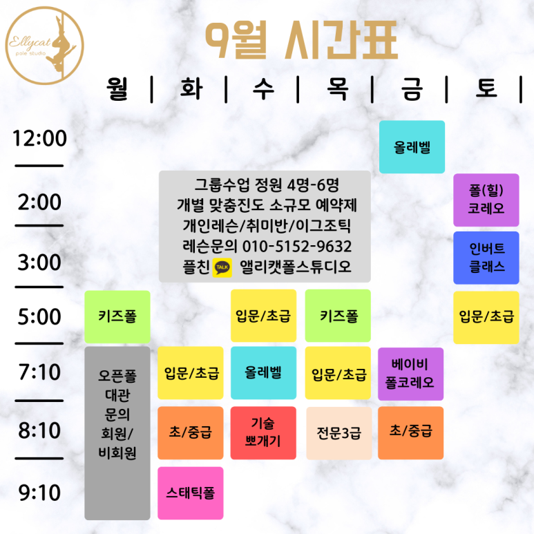 앨리캣폴스튜디오 이미지