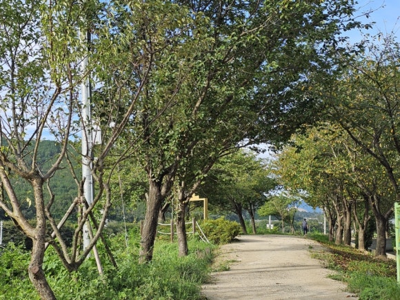 머리마을 이미지
