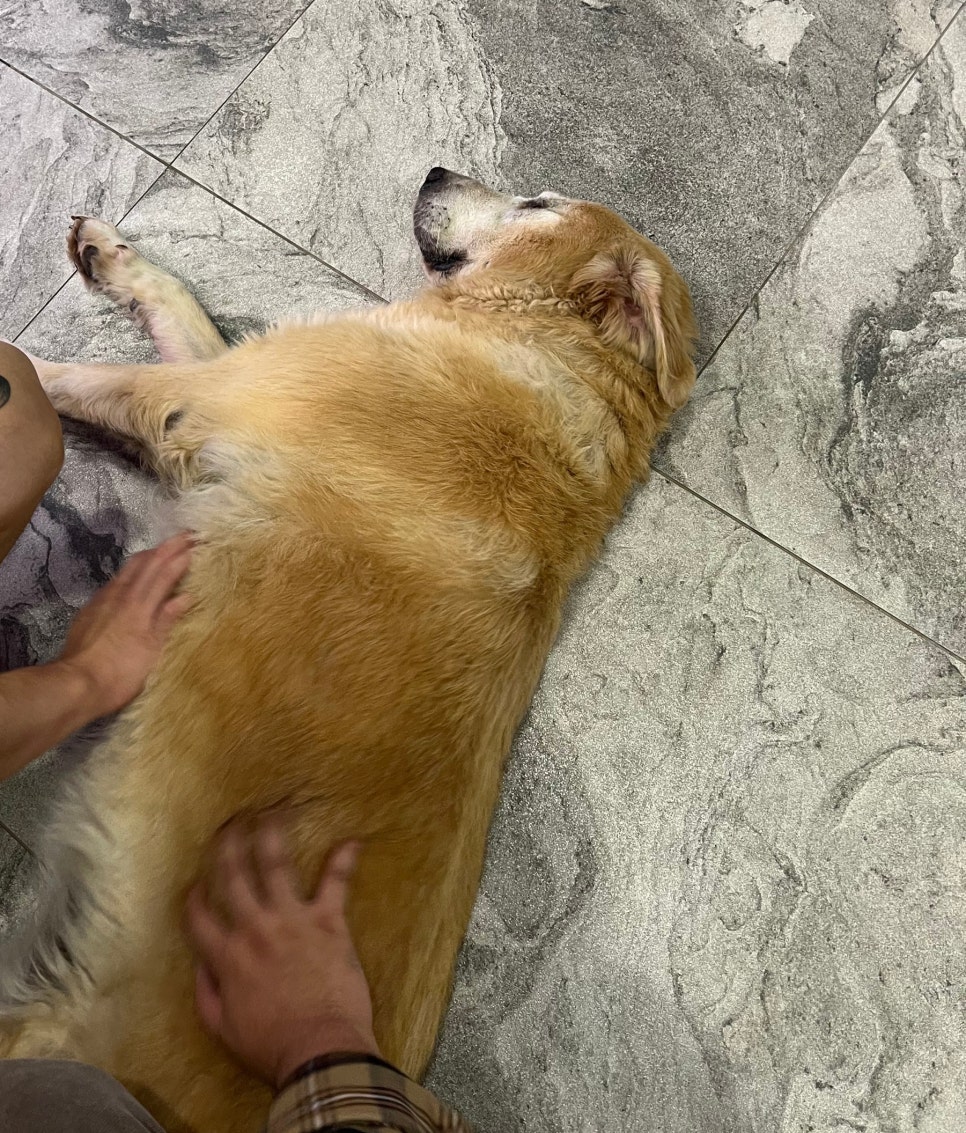 친구네 짜글이 이미지
