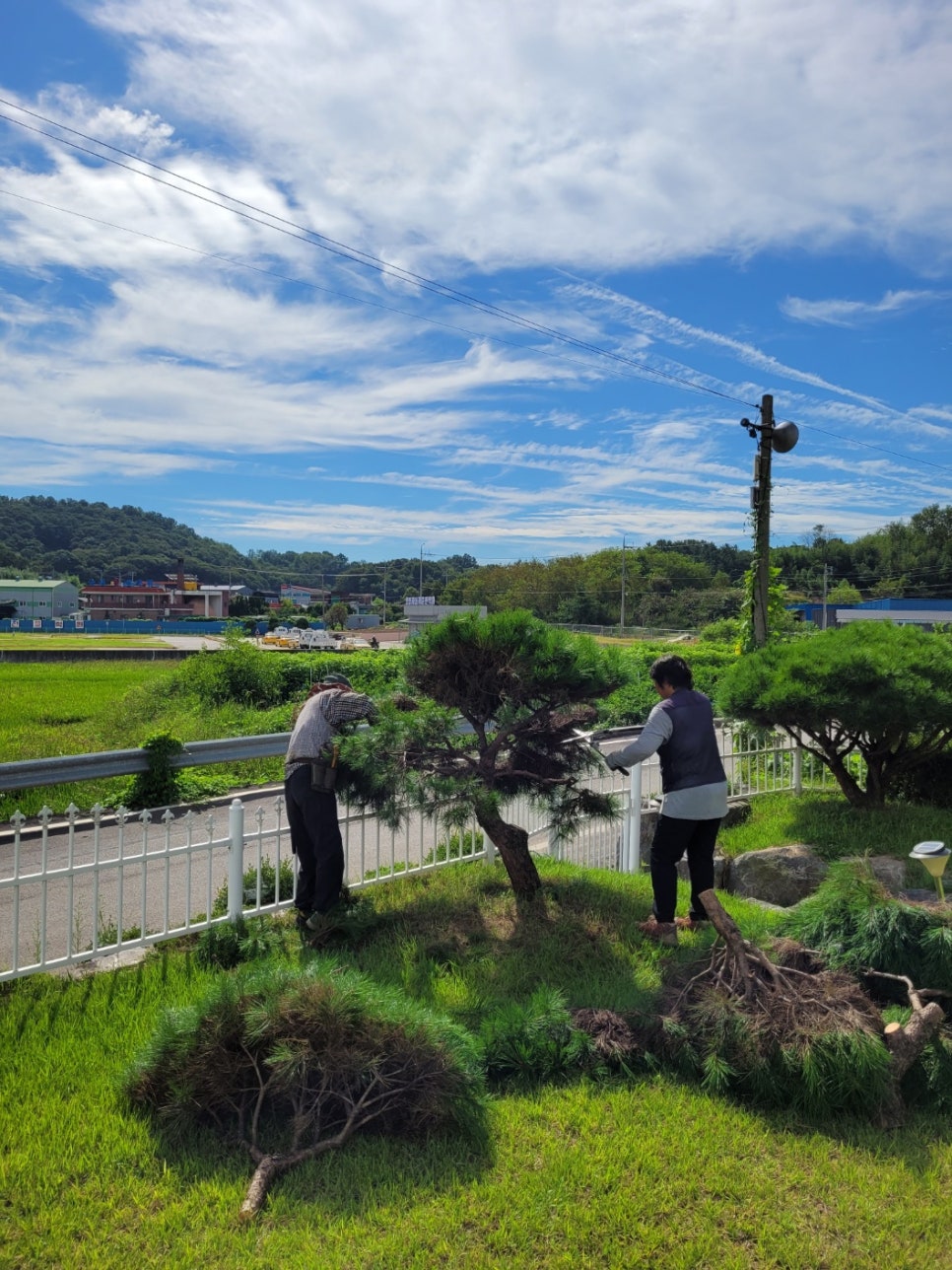 성산조경 이미지