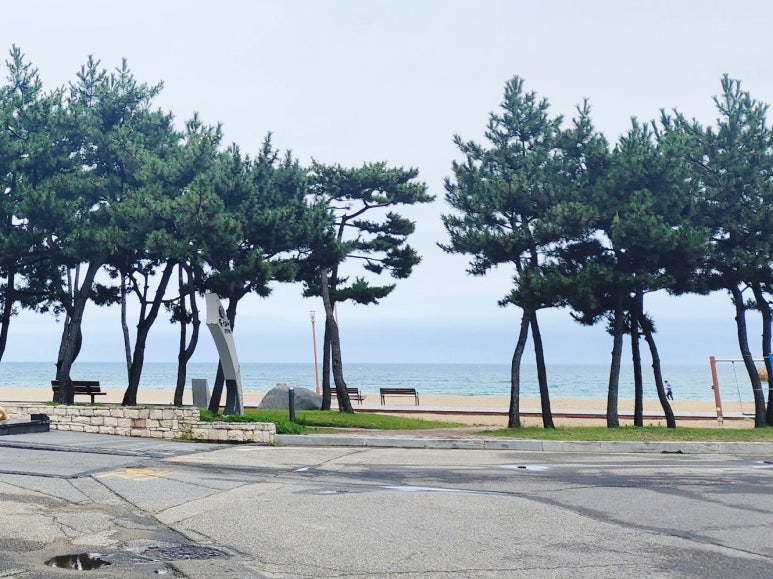 산토니아커피 이미지