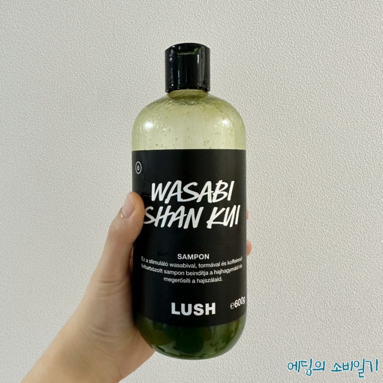 샨헤어 이미지