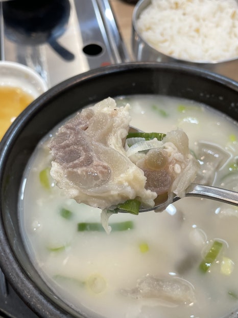 한설옥 이미지