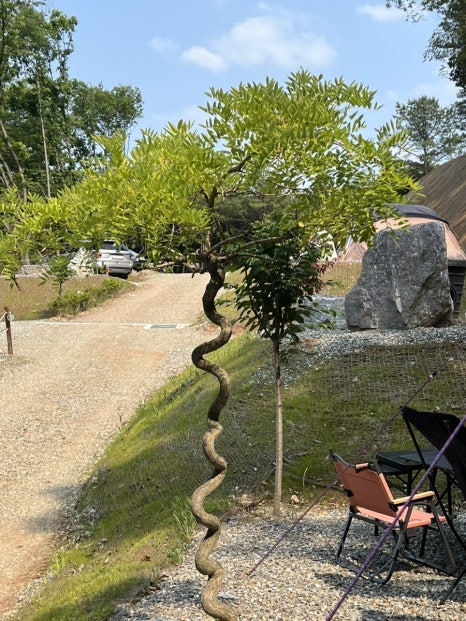 푸르른캠핑장 이미지