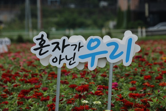 바른정보 이미지