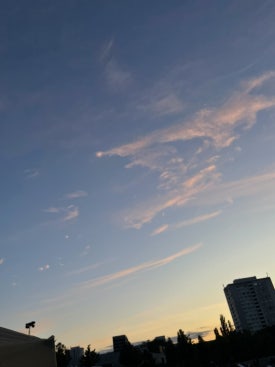 츄스 이미지