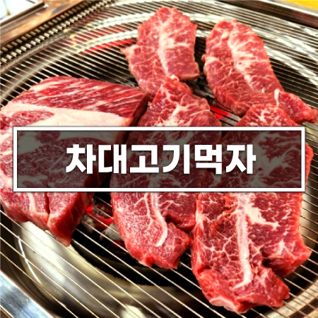 차대고기먹자 이미지