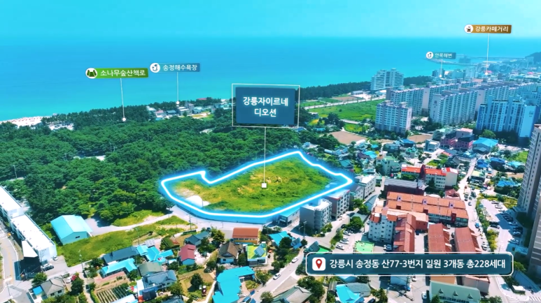 안목커피거리카라반캠핑 이미지