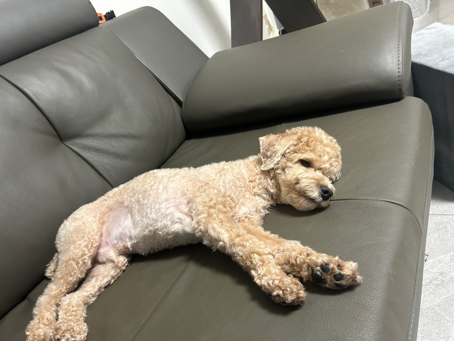 설맥 일산식사점 이미지
