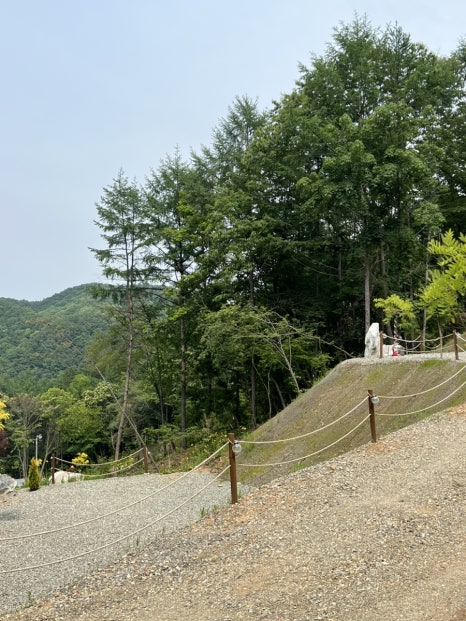 푸르른캠핑장 이미지