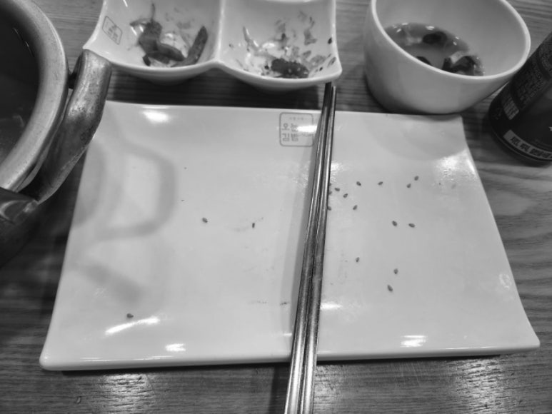 오늘애김밥포천일동점 이미지
