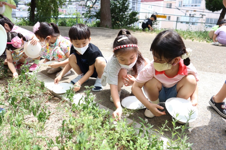 풀잎유치원 이미지