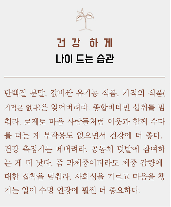 나이스카 이미지