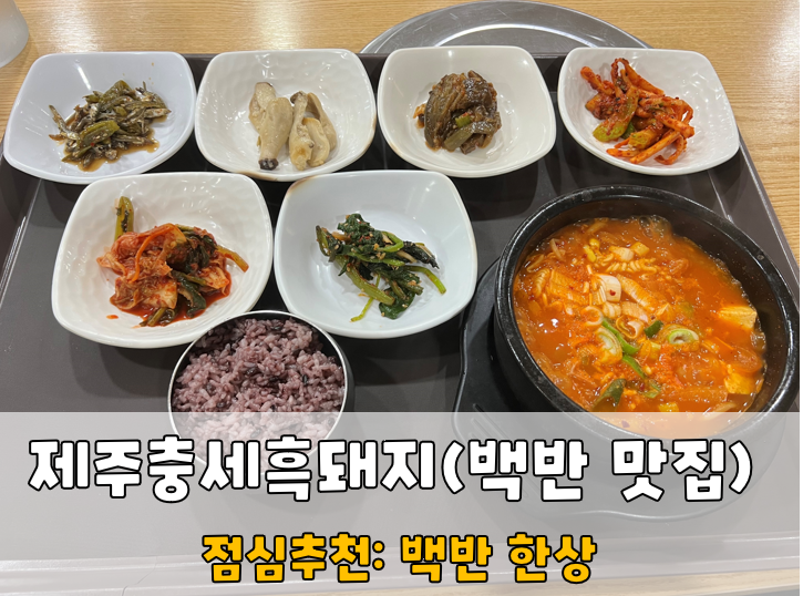 제주충세흑돼지 이미지