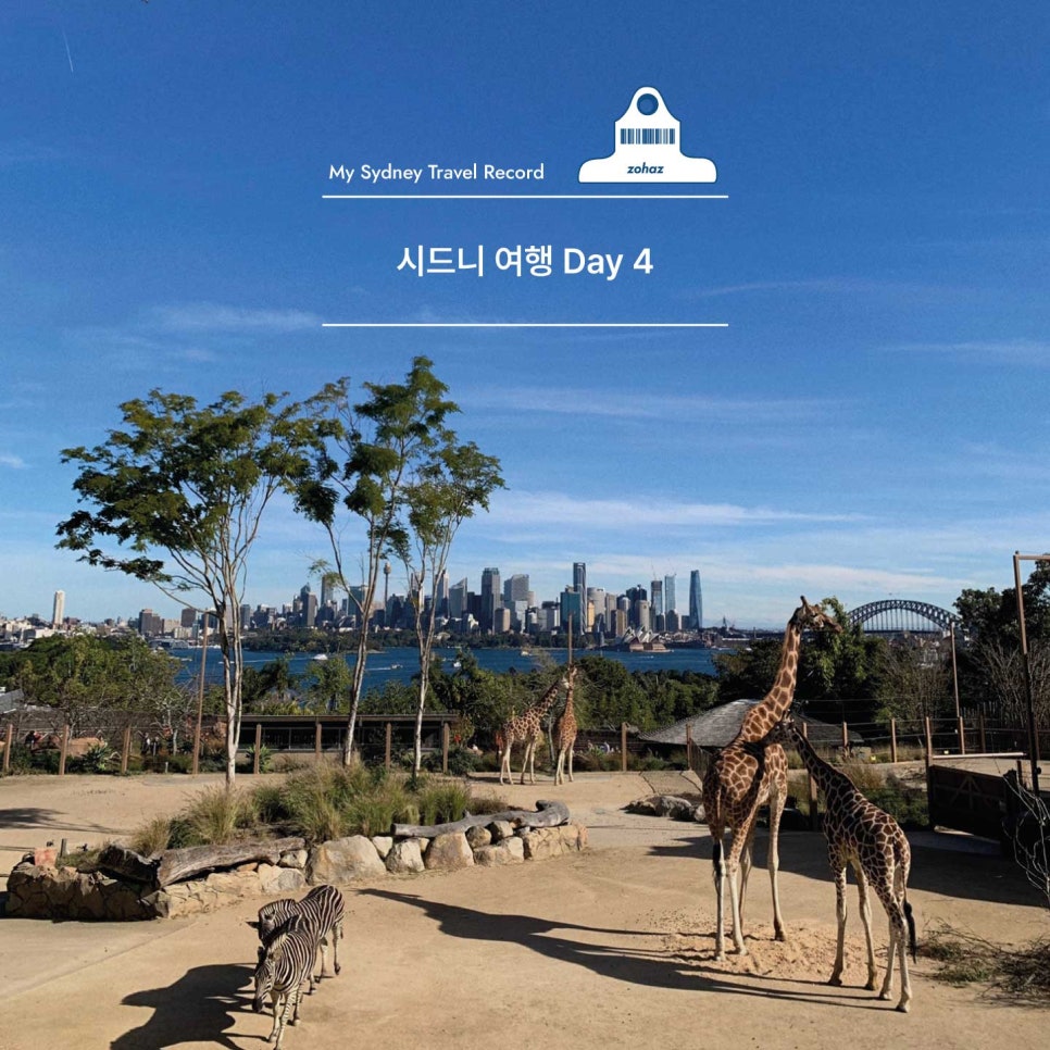 하하여행주 이미지