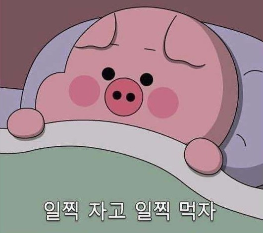 자주경산 이미지