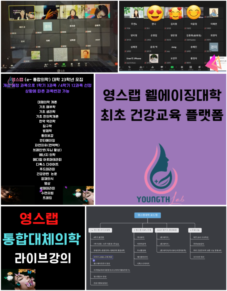 영스랩 안티에이징 연구소 이미지