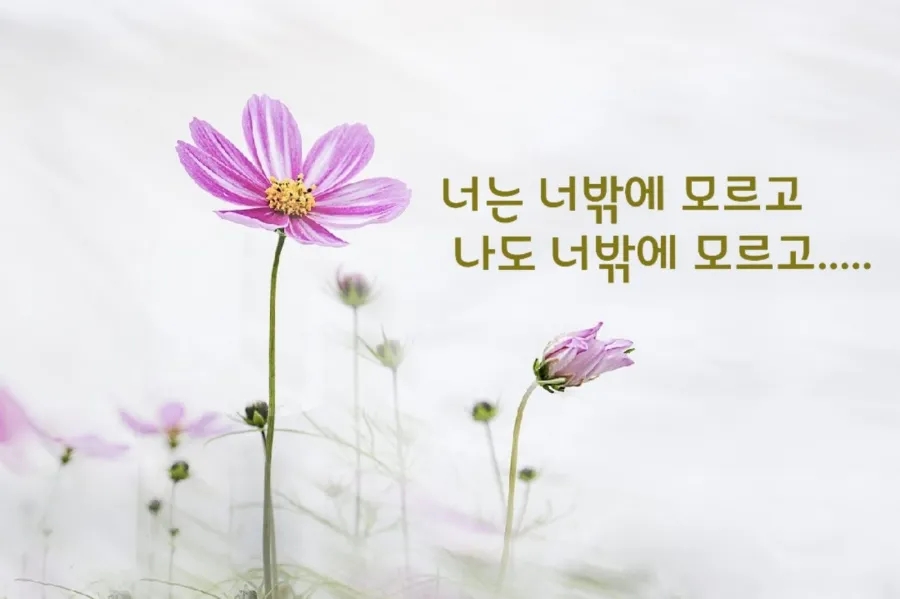 크리스탈(crystal) 이미지