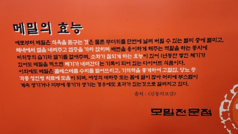 이조모밀 이미지