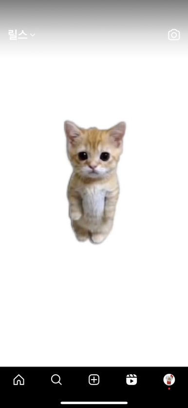 다해온 이미지